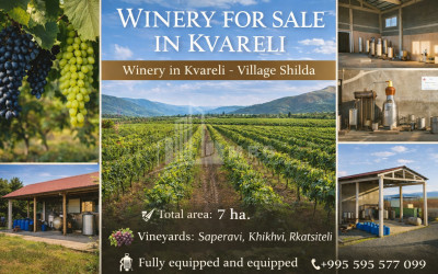 For Sale Chateau / Wine factory Commercial, in Does