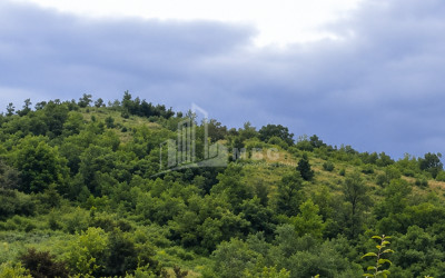 For Sale Country Land In Racha