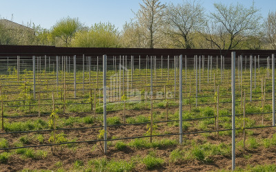 იყიდება კომერციული ფართი ძეგვი მცხეთა მცხეთა   მთიანეთი