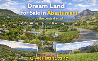 იყიდება მიწის ნაკვეთი აბასთუმანი ადიგენი სამცხე   ჯავახეთი