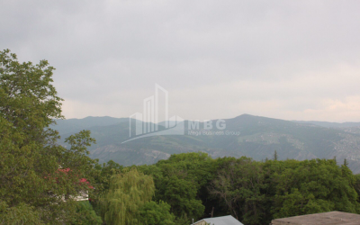 For Sale House - Villa, in Tskneti