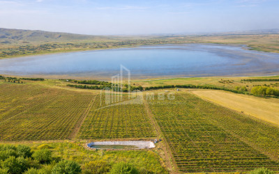 For Sale Land Kumisi Gardabani Kvemo Kartli