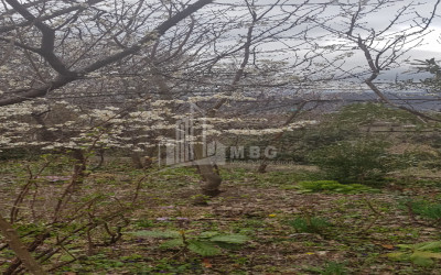 იყიდება სამოსახლო მიწის ნაკვეთი, სვანეთის უბანი