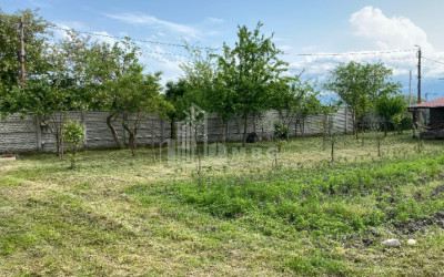 იყიდება ბიზნესი კომერციული ფართი თელავი კახეთი