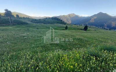 For Sale Land Tsvirmi Mestia Samegrelo   Upper Svaneti