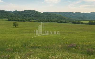 Продается Земля Гомбори Сагареджо Кахети