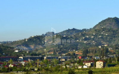 For Sale Country Land, in Chakvistavi