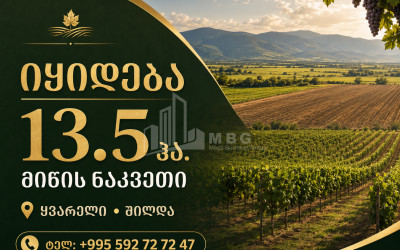 For Sale Orchards Land In Kvareli