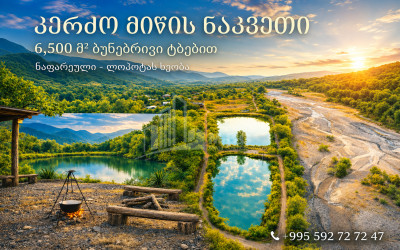 For Sale Lake - Fishing farm Land In Napareuli, Telavi