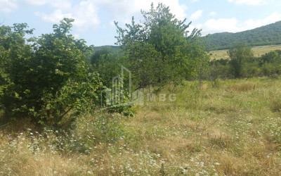 For Sale Country Land, in Tsinamdzgvriantkari