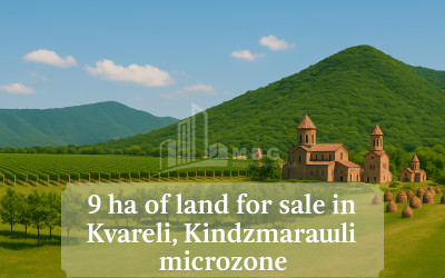 For Sale Land Kvareli Kakheti