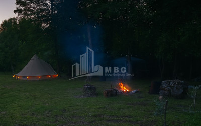 იყიდება ბიზნესი კომერციული ფართი თელავი კახეთი