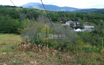 For Sale House Villa Besiauri Tskaltubo Imereti