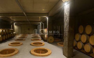 Продается Коммерческий Охио Ахмета Кахети