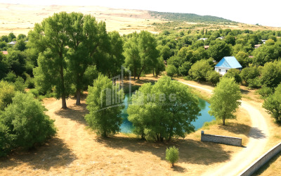 For Sale Land Kekhijvari Kareli Shida Kartli