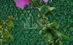 Продается Дом - Вилла В Коджори, Мтацминда Район