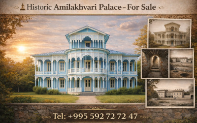 For-Sale-Commercial-Kaspi-Shida-Kartli