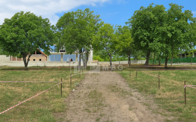 For Sale Commercial Bazaleti Dusheti Mtskheta   Mtianeti