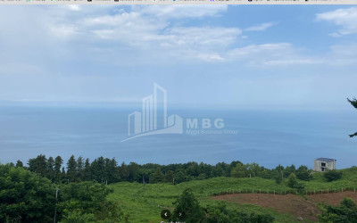 იყიდება კომერციული - არასასოფლო მიწის ნაკვეთი სარფში, ხელვაჩაური