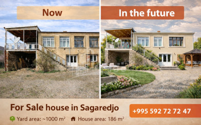 For Sale Old building House - Villa In Sagarejo