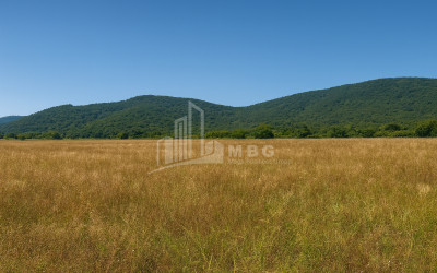 For Sale Land Gremi Kvareli Kakheti