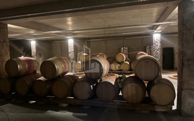 Продается Коммерческий Охио Ахмета Кахети