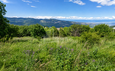 For Sale Residential Land In Kveseti, Vake District