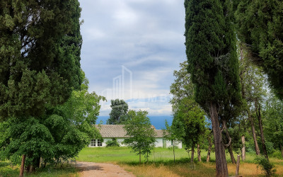 იყიდება კომერციული ფართი თელავი კახეთი