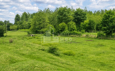 For Sale Orchards Land In Abasha