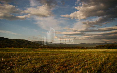 For Sale Land, Tsilkani, Mtskheta Municipality, Municipalities of Mtskheta - Mtianeti