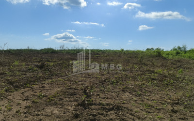 For Sale Land Eki village Senaki Samegrelo   Upper Svaneti