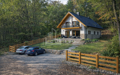 For Sale Country Land In Birtvisi Gorge, Tetritskaro