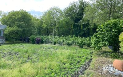 იყიდება ბიზნესი კომერციული ფართი თელავი კახეთი