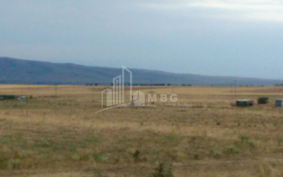 For Sale Orchards Land, in Kumisi