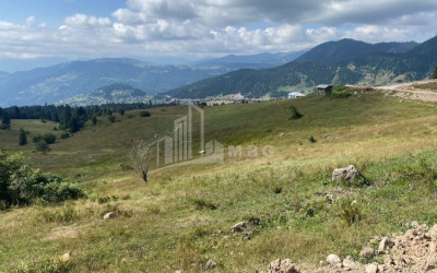 For Sale Country Land, in Khulo