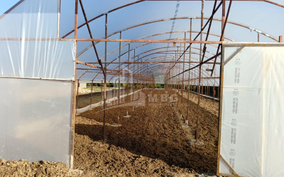 For Sale Land, Nosiri, Senaki, Samegrelo