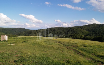 For Sale Land, Ivanovka, Tetritskaro Municipality, Municipalities of Kvemo Kartli
