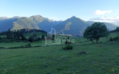 For Sale Land Tsvirmi Mestia Samegrelo   Upper Svaneti