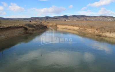 For Sale Orchards Land, in Kvemo Teleti