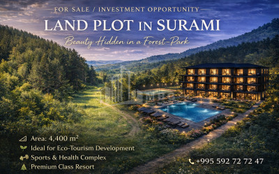 For Sale Orchards Land, in Khashuri