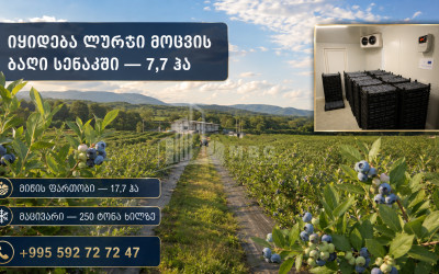 For Sale Orchards Land In Senaki