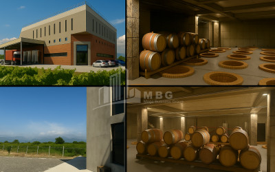 Продается Коммерческий Охио Ахмета Кахети