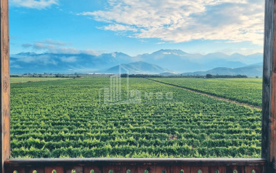 For Sale Commercial Kvareli City Kvareli Kakheti