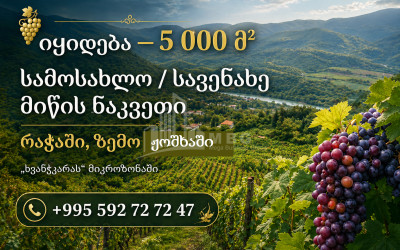For Sale Vineyard - Chateau Land In Zemo Joshkha, Ambrolauri