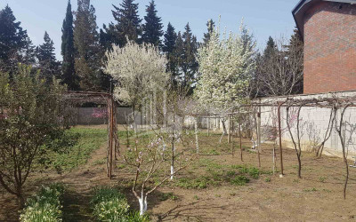 For Sale Residential Land, in Dighmis Chala