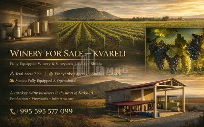 იყიდება კომერციული ფართი, ზესტაფონი