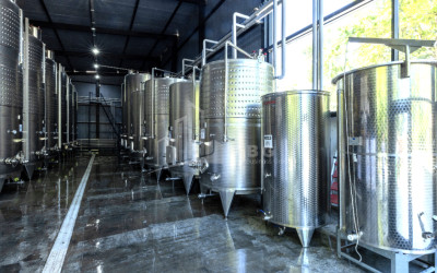 For Sale Commercial Gremi Kvareli Kakheti