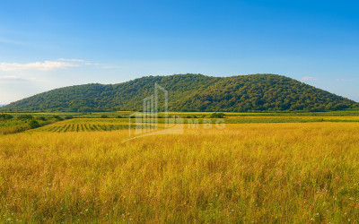 For Sale Land Gremi Kvareli Kakheti