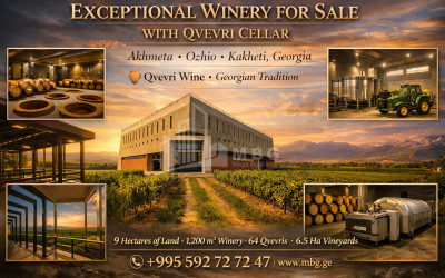 იყიდება შატო / ღვინის ქარხანა / მარანი კომერციული ფართი ოჟიოში, ახმეტა