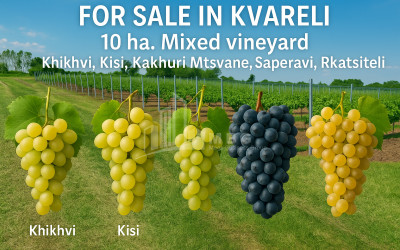 Продается Земля Кучатани Кварели Кахети